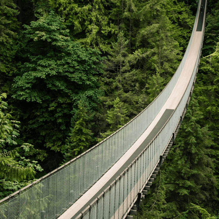 for zipline businesses