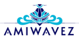 xola websites amiwavez logo